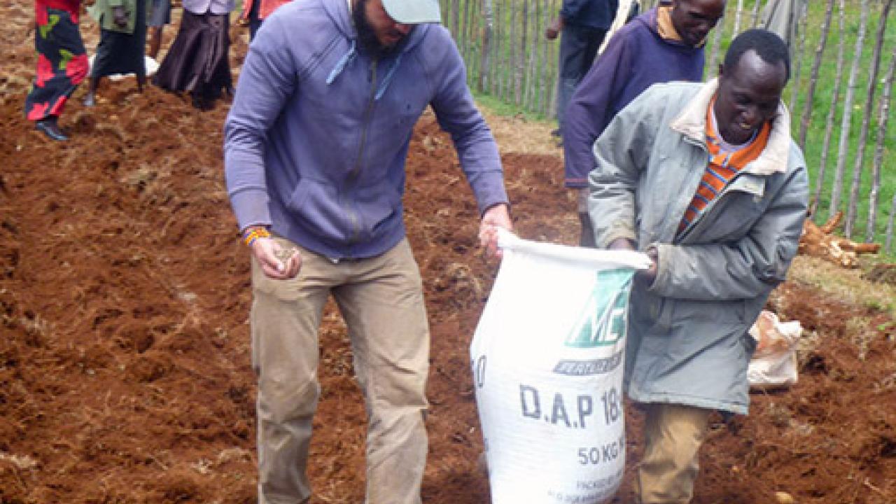 Bob Johnson, a UC Davis graduate student, worked with farmers in Kenya on potato production, for a previous Trellis Fund project. (Photo UC Davis Horticulture Innovation)