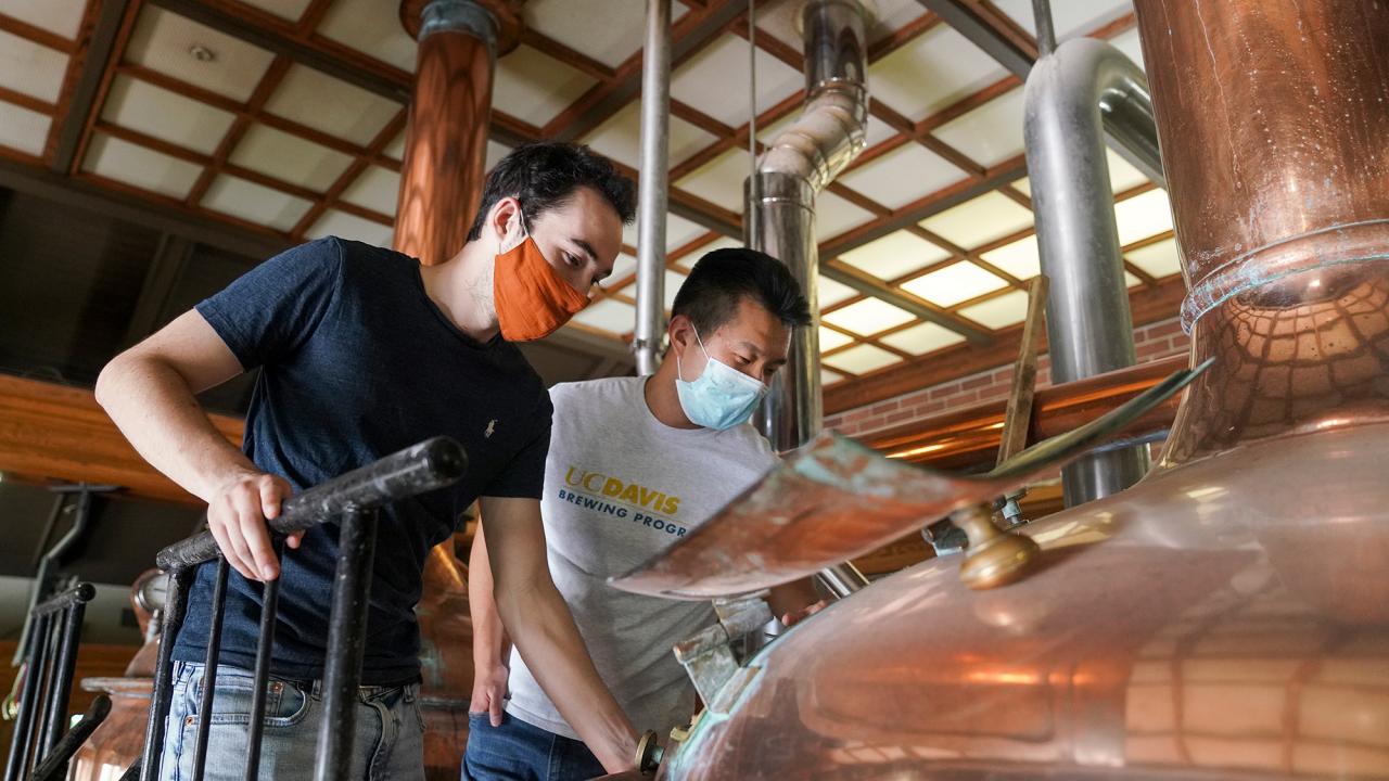 Charlie Thudium, left, and Baoluo Gao observe their ale-in-the-making at Sudwerk Brewing Co. (Karin Higgins/UC Davis)