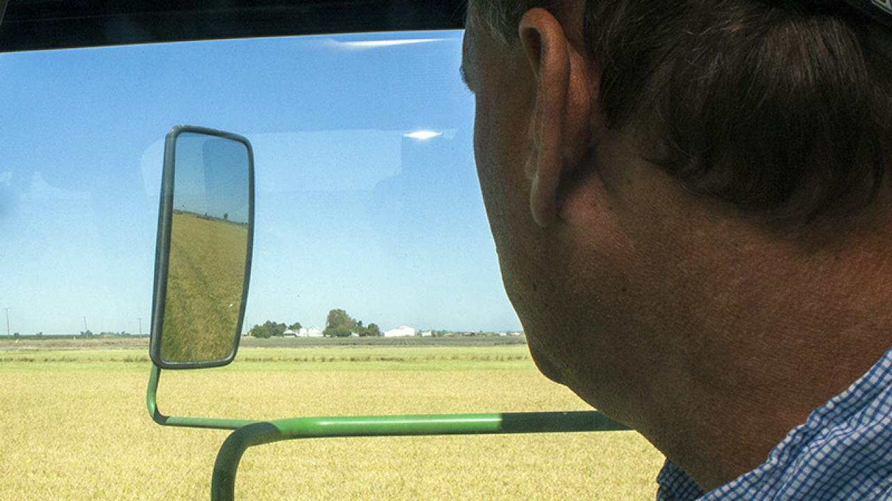 Colusa County rice farmer George Tibbitts farms his grandfather's ranch. (Brad Hooker | UC Davis)