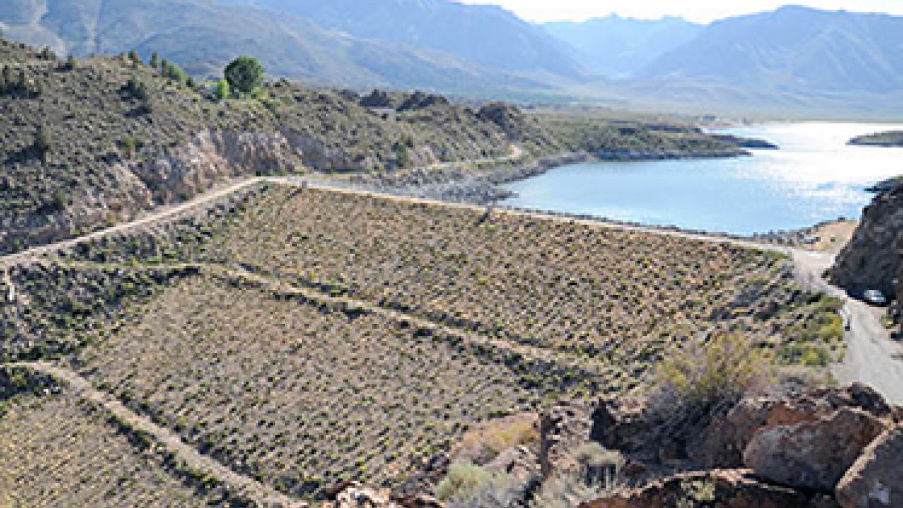 Identifying HighPriority Dams For Fish Survival College of