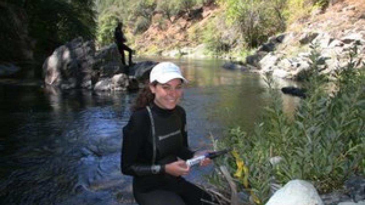 Alyssa Obester downloads temperature data from Butte Creek to take back to a laboratory at UC Davis