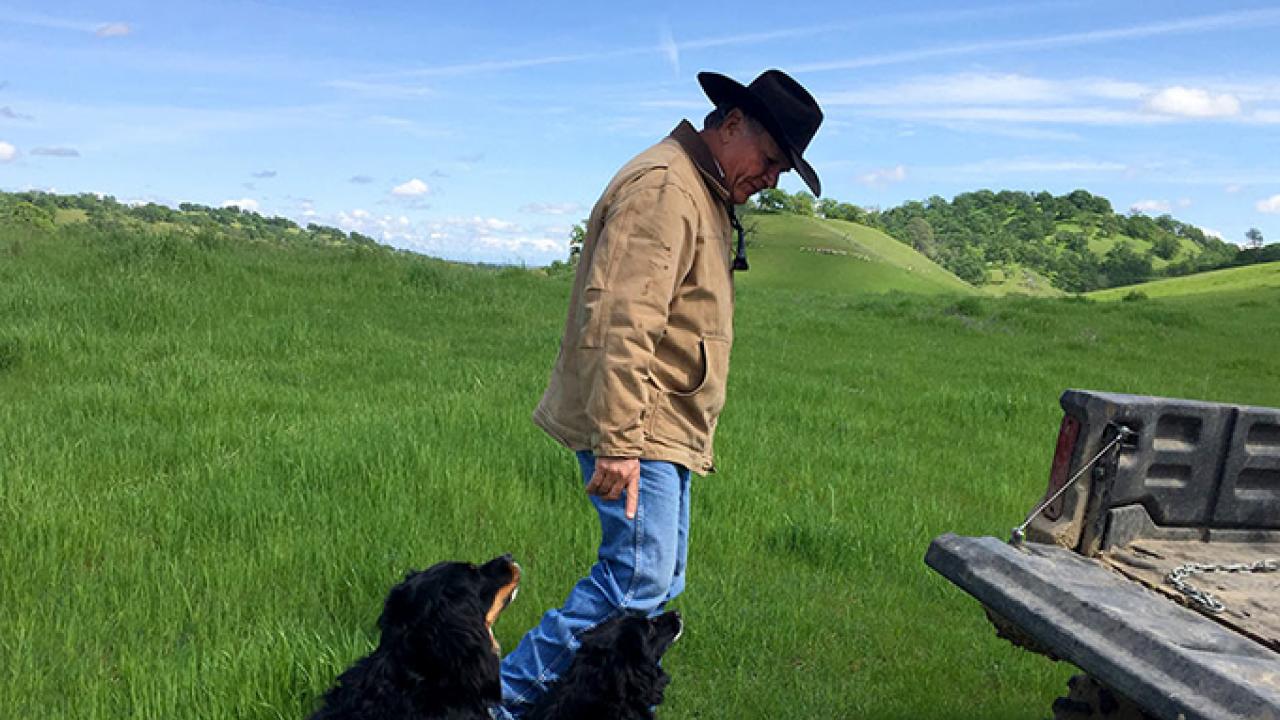 Hank Stone, a Winters, Calif. rancher, uses compost on his rangelands, which feeds microbes in the soil and helps sequester carbon.