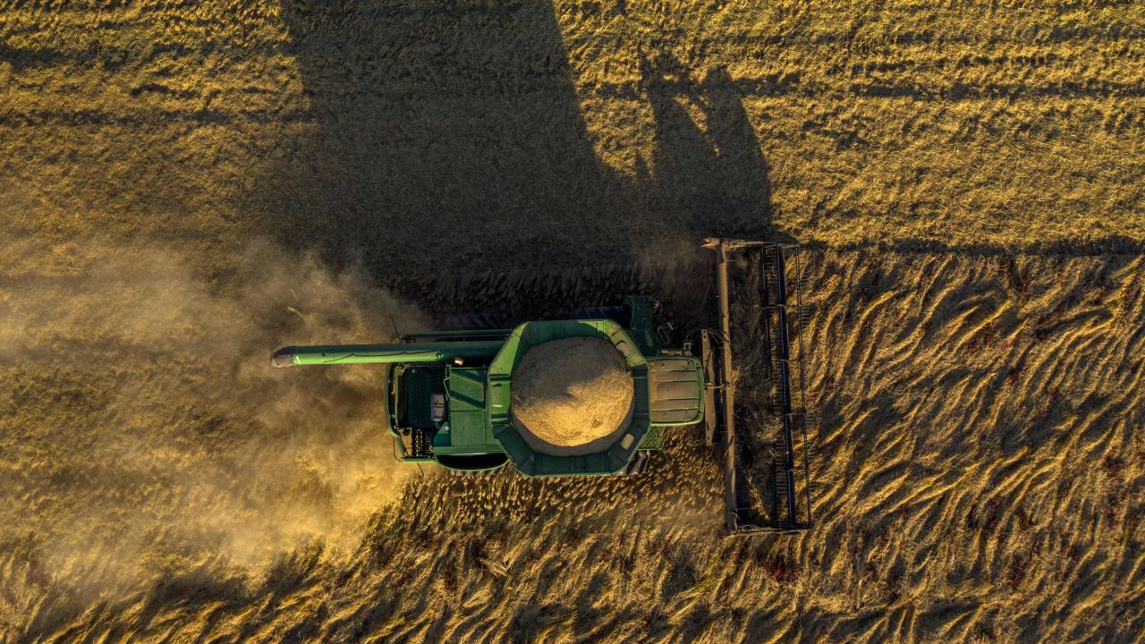 Rice harvest at Rominger Brothers Farms in Winters, CA.