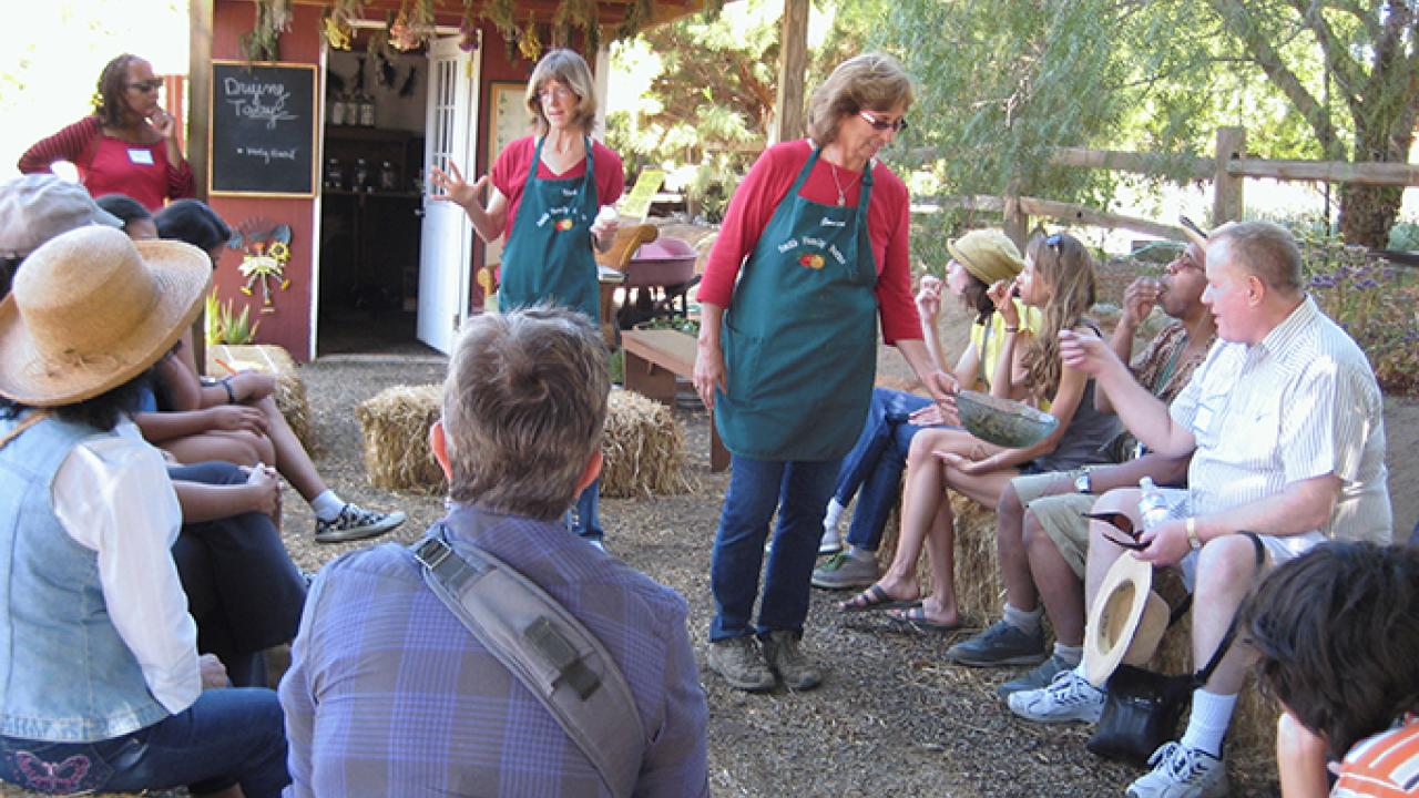 Visitors enjoy talk and tastings at Smith Family Farm in Brentwood, California. (Photos taken by Penny Leff/Agriculture Sustainability Institute at UC Davis)