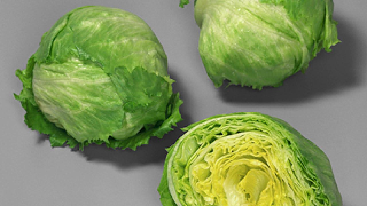 Discovering the gene mechanism that inhibits hot-weather germination in lettuce seeds could be increasingly important as global temperatures rise plant, predicts plant scientist Kent Bradford.