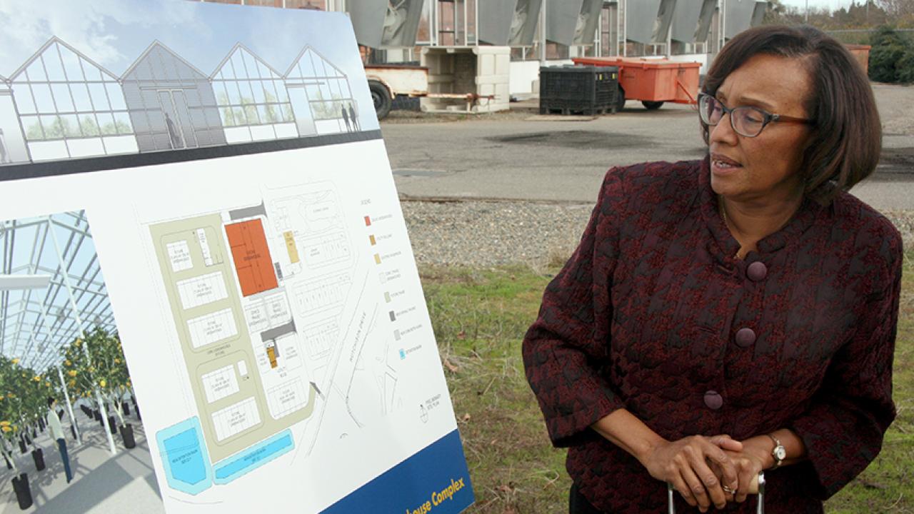 Dean Helene Dillard looks forward to construction of new greenhouses where researchers can customize light and temperature for each and every plant, all under the same roof.