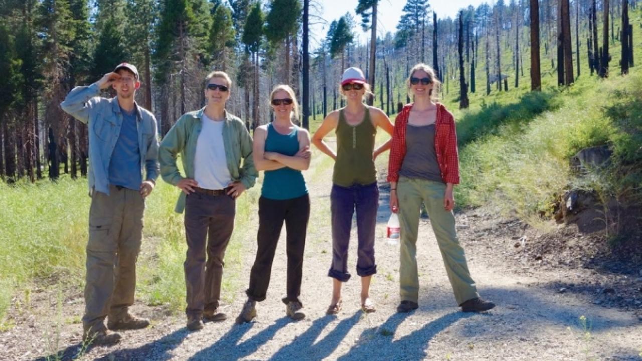 Professor Andrew Latimer, second from the left, and his former Ph.D. student Jens Stevens, left, visit the Angora Fire site near Lake Tahoe with members of the U.S. Forest Service. The team traveled to 12 sites in California in 2013 to study the effects o