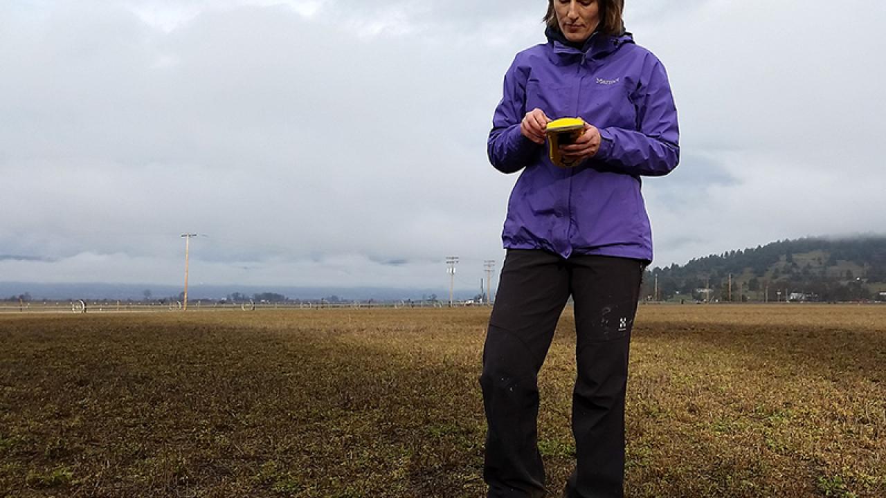 Department of Land, Air and Water Resources Professor Helen Dahlke in an alfalfa field in Siskiyou County. (Tiffany Kocis | UC Davis)