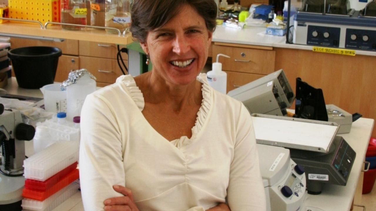 Professor Pamela Ronald, UC Davis.
