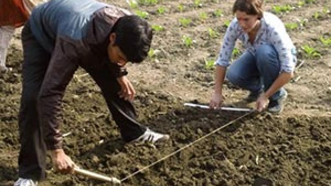 A graduate student from Tribhubhan University works with Rachel Suits, an entomology graduate student at North Carolina State University, to set up rows for an intercropping field trial for a Horticulture CRSP Trellis Fund project with the Ecological Serv