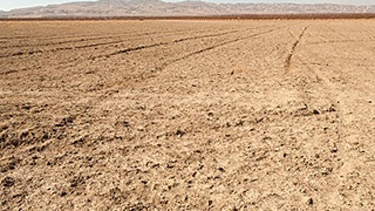 The drought has hit the Central Valley hard, as witnessed by these dry fields at Panoche Road, looking west, near San Joaquin, Calif. (photo: Gregory Urquiaga/UC Davis)