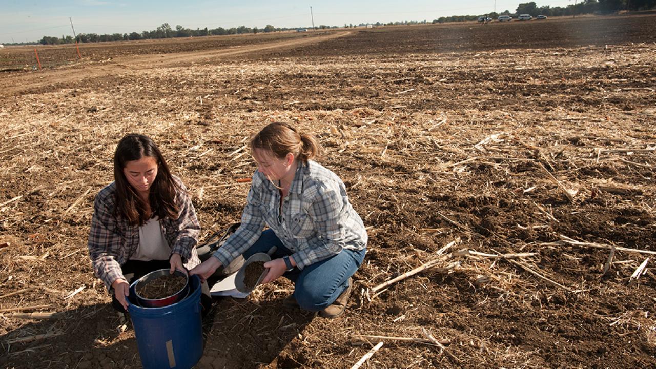 Students Mia Kawamoto and Amy Bump sift soil together during a class at Russell Ranch. (Gregory Urquiaga/UC Davis)