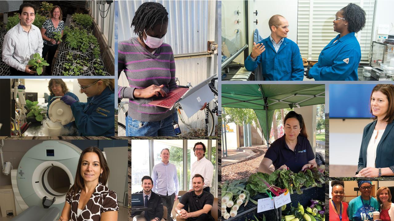 A collage of different people doing scientific research at UC Davis.