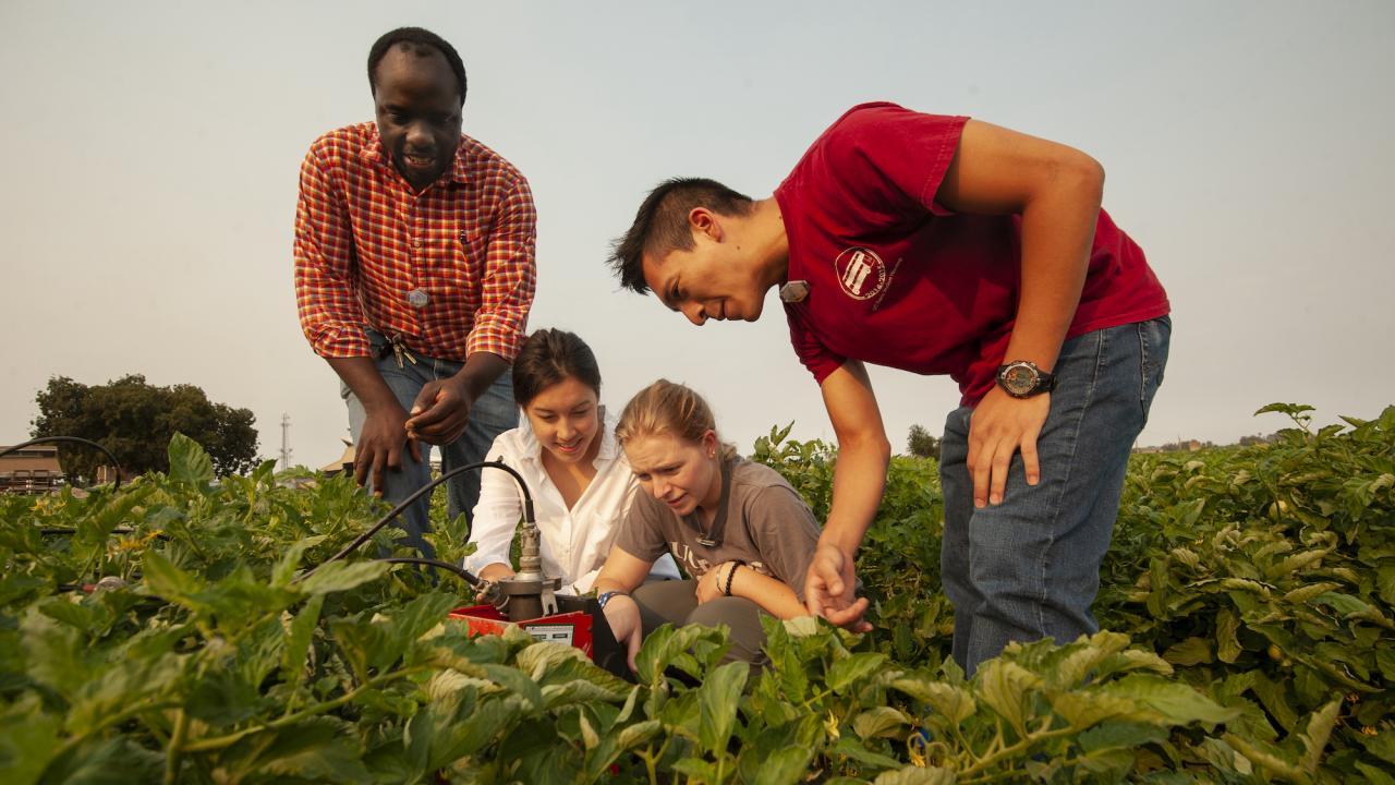 Professor Isaya Kisekka and students measure soil moisture content at the UC Davis Agricultural Research Farm in 2018.