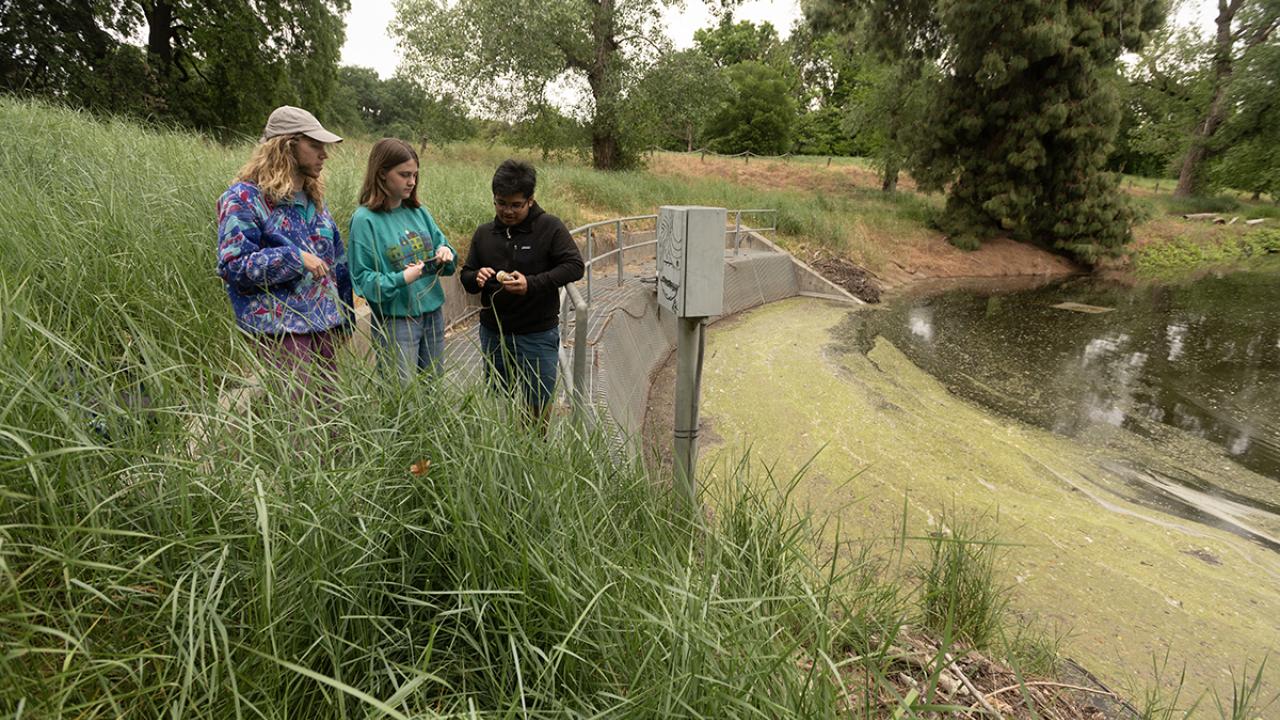 Students getting ready to sample water in the Arboretum Waterway as part of the Wild Davis course.