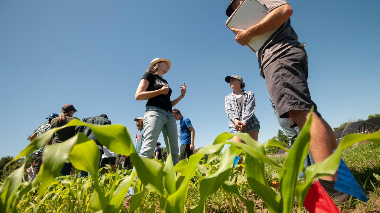 Amélie Gaudin, center, leads students in observing and taking samples to compare ecological outcomes of three different approaches to farming annual crops at a field established in 2016 near the UC Davis Student Farm.