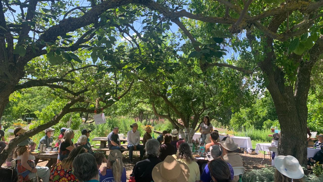 A group of people gathered outside under the shade of a tree.