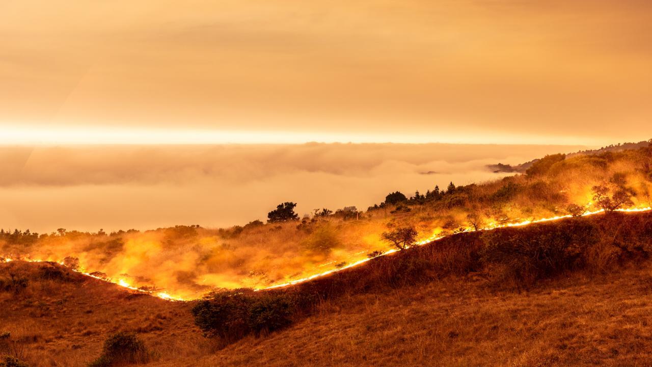 A wildfire burns in Sonoma County in 2020 under an orange smokey sky. (Bill Oxford/Getty Images)