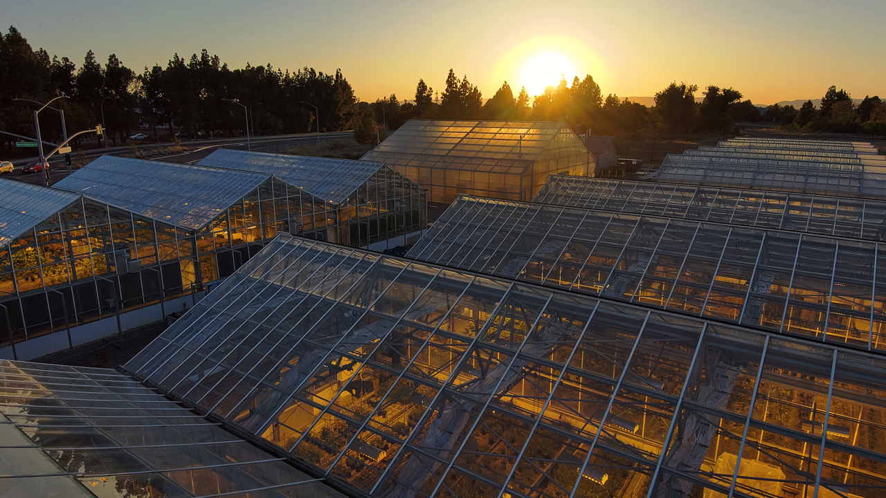 The sun sets over the CA&ES greenhouses.