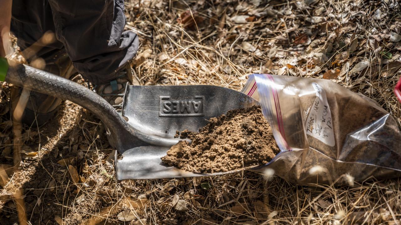 A shovel is used to scoop dirt into a ziploc bag for testing.