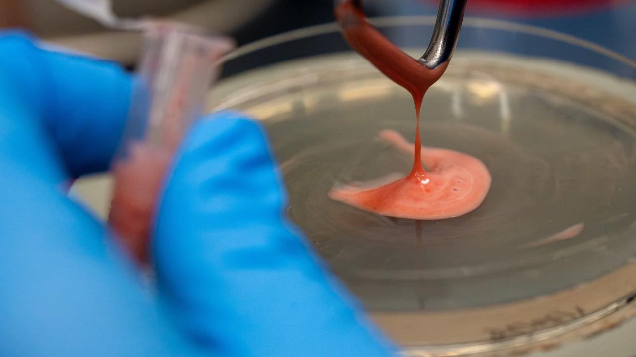 A pink goopy substance dripping on to a petri dish