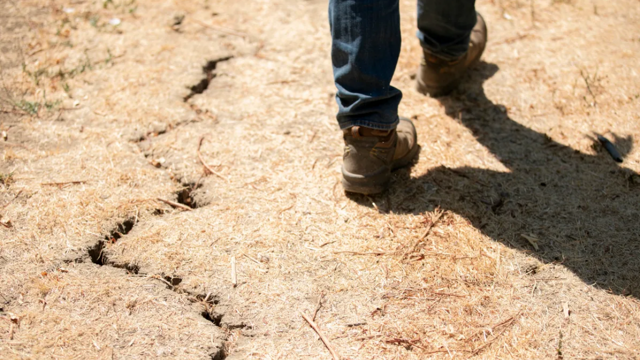 Feet walking across parched ground in California.