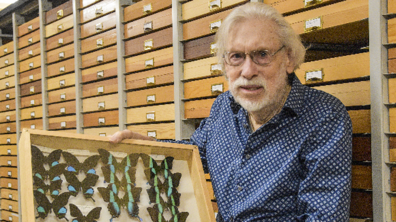 Bill Patterson with butterfly collection.