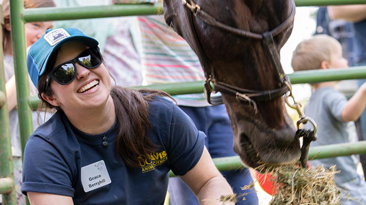 A person feeding a horse at Picnic Day in the Cole Facility.