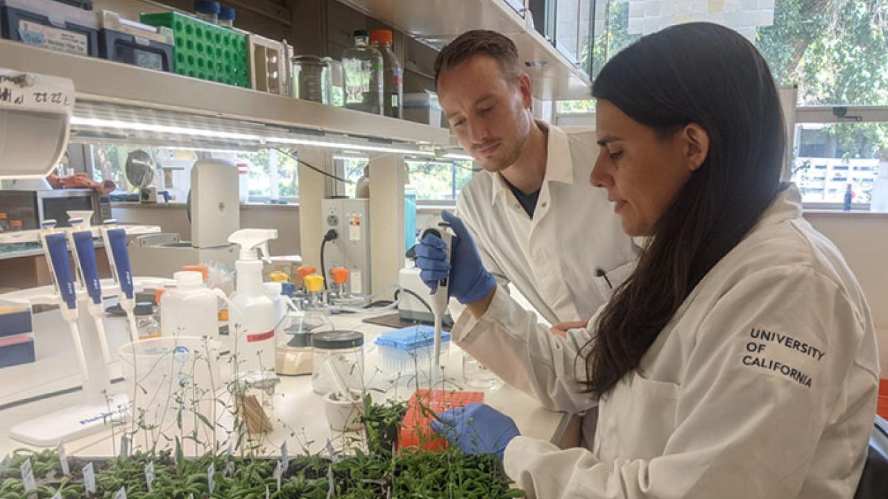 Assistant Professor Grey Monroe (left) and Ph.D. candidate Daniela Quiroz (right) are developing a method to improve a process used in the growing field of epigenomics.