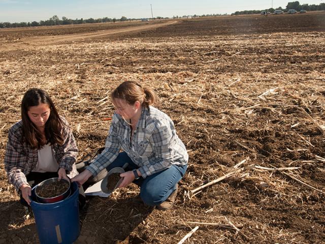 Students Mia Kawamoto and Amy Bump sift soil together during a class at Russell Ranch. (Gregory Urquiaga/UC Davis)