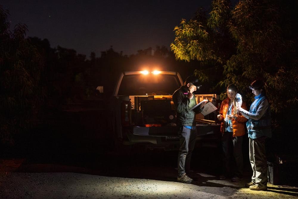 Night: three workers in reflective vests checking papers beside a pickup with taillights on