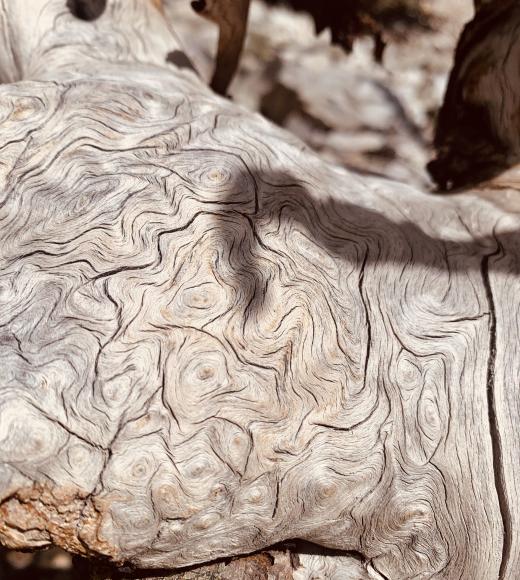 Textured close-up of weathered wood with intricate, swirling grain patterns.