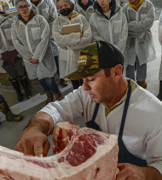 A person in a hat uses a side of meat to teach the students behind him about butchery.