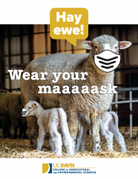 Hay ewe! Wear your maaaaaask!