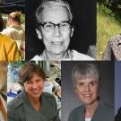The “Remarkable UC Davis Women” list includes, top row from left: Dean Helene Dillard, Katherine Esau, Susan Harrison, Margrit Mondavi, Pamela Ronald, Barbara Schneeman and Ann Veneman. 