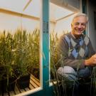 UC Davis Plant Sciences Professor, Jorge Dubcovsky is among 16 current UC Davis faculty named as among the top 1 percent in their fields for citations of scientific papers. Dubcovsky is a leading expert on wheat genetics. (UC Davis photo)