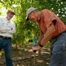 Professor Ken Shackel (left) and Cooperative Extension Specialist Bruce Lampinen demonstrate how pressure chambers can gauge a tree’s water needs.