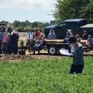 Farmers and crop advisers learned how to control alfalfa weevils and so much more at Alfalfa Field Day at UC Davis.