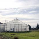 New greenhouses are on their way this year to join this one on Extension Center Drive.