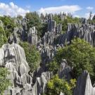 Stone Forest national park