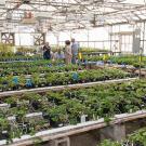 The college hopes to break ground this year a greenhouse expansion project.