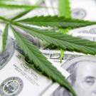 First study that looks at economic costs of California cannabis testing shows biggest costs are incurred when product fails test. (Getty Images)