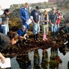 UC Davis students study tide pools and other facets of the coastal environment at the Bodega Marine Laboratory.