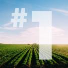 UC Davis College of Agricultural and Environmental Sciences is ranked first in the world in agricultural economics and policy.