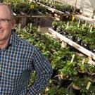Professor Steve Knapp, director of the UC Davis Public Strawberry Breeding Program, will lead a team of scientists from UC Davis, UC Santa Cruz, UC Riverside, UC Agricultural and Natural Resources, Cal Poly San Luis Obispo, and the University of Florida.