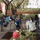 UC Davis landscape architecture students work on design-build projects outside Hunt Hall. (Katie Hetrick | UC Davis)