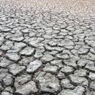 Desiccation cracks in dry soil. (Chris Nicolini | UC Davis)