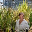Pam Ronald, distinguished professor in the Department of Plant Pathology and Genome Center, is known for her engineering of flood tolerant rice.