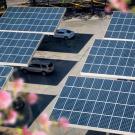 Solar panels shade cars, produce energy and spare natural lands at this parking lot in Atlanta, Georgia. (Getty)