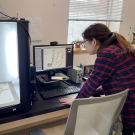 UC Davis Herbarium student volunteer Zihan Wang taking photos and digitizing plant specimens so they can be shared with the Consortium of California Herbaria, which maintains an online specimen database. (Emily C. Dooley / UC Davis)